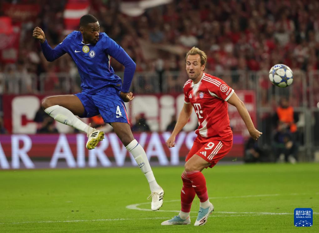 门员罗伯特, 洛维奇, msn