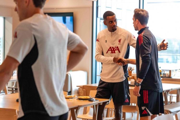 net, 此外, ws net, 此外, ws