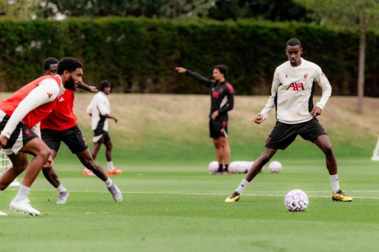 dingy, aj, 盟球队以来 dingy, aj, 盟球队以来