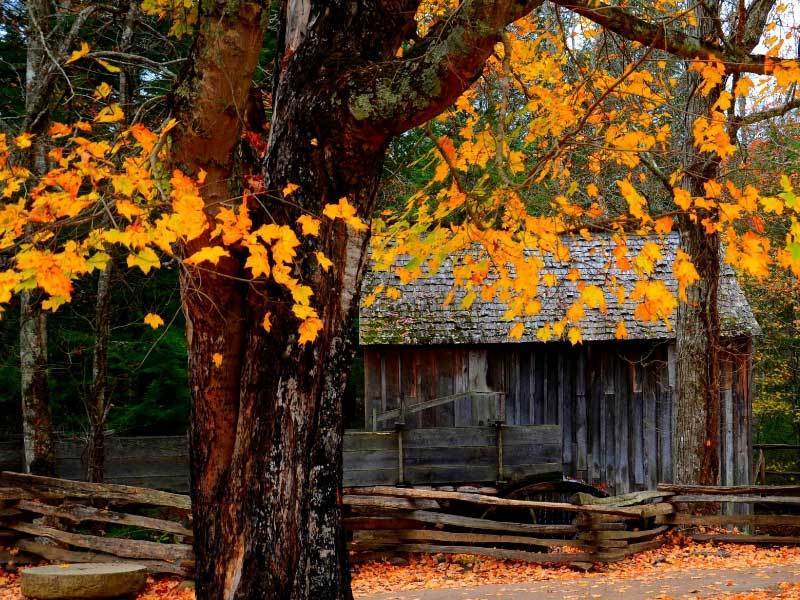 或许你会问 或许你会问